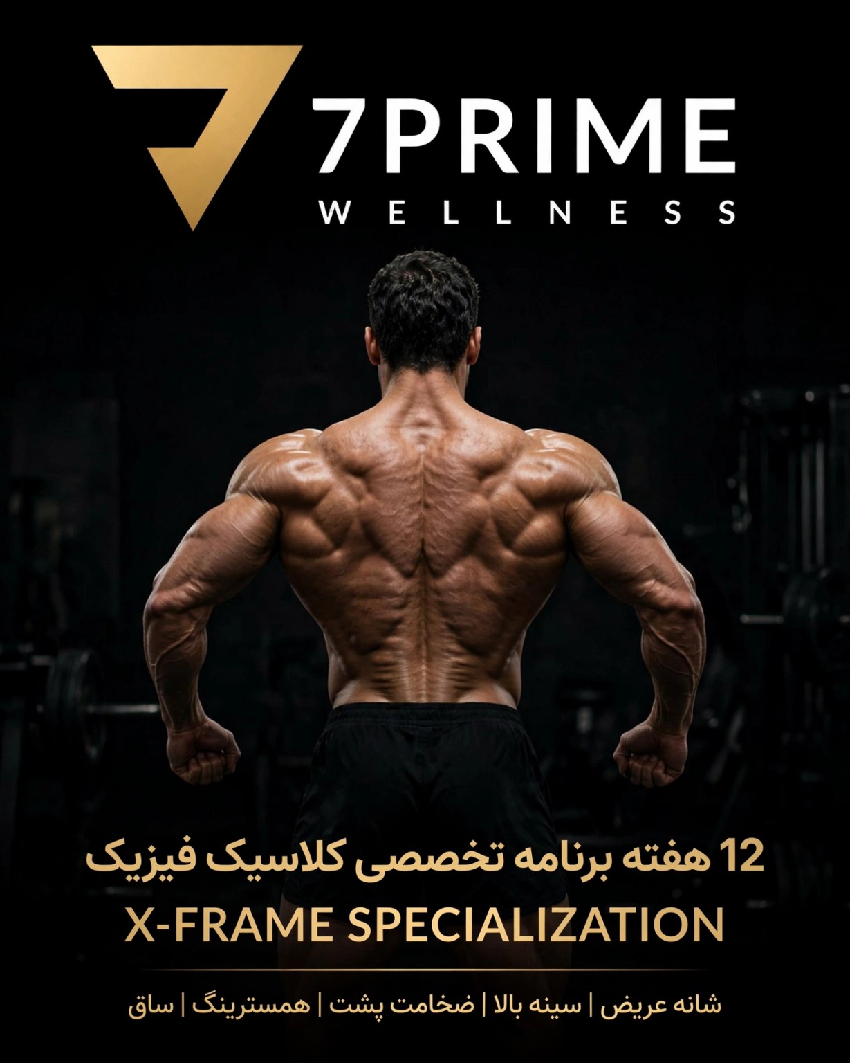 برنامه ۱۲ هفته‌ای تخصصی کلاسیک فیزیک 7PRIME